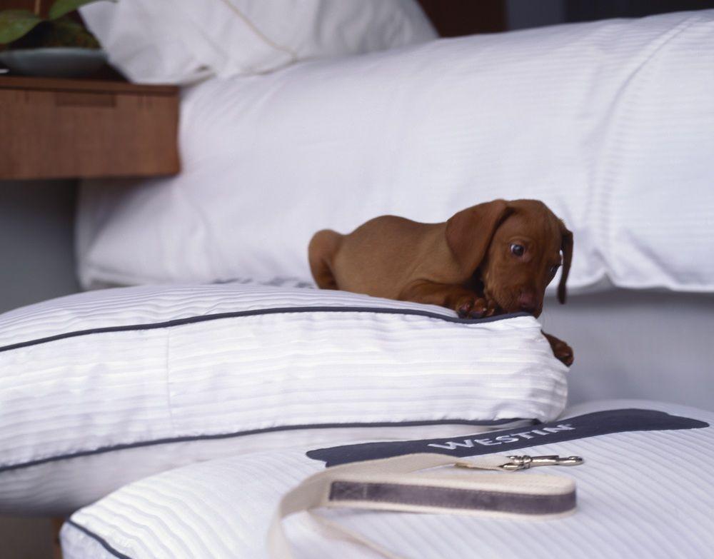 The Westin Great Southern Columbus Esterno foto